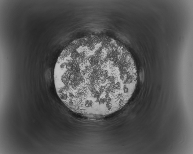X0000084581347200703231834