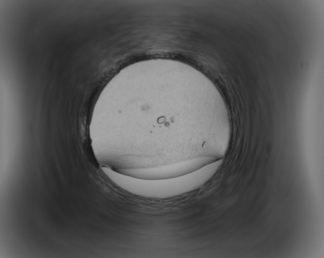 X0000084581348200703231834