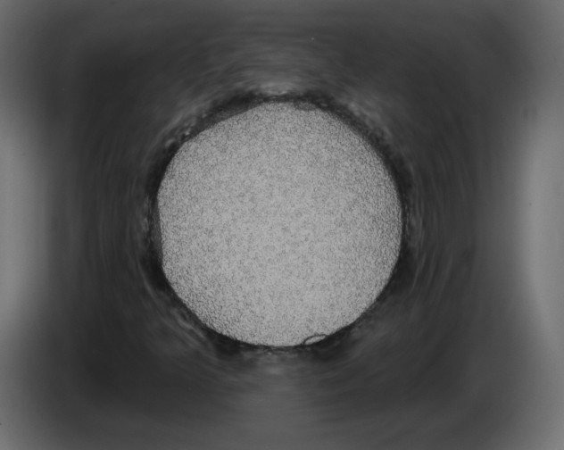 X0000084581349200703231834