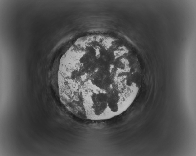 X0000084581351200703231834