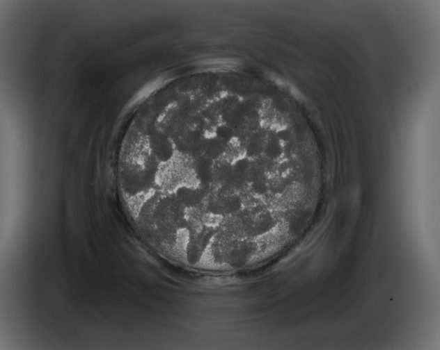 X0000084581354200703231834