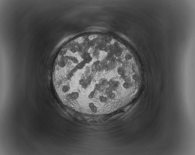 X0000084581355200703231834