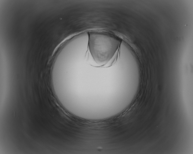 X0000084581356200703231834