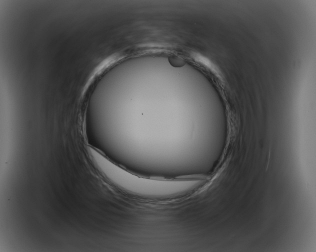 X0000084581357200703231834