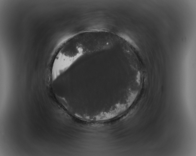 X0000084581358200703231834