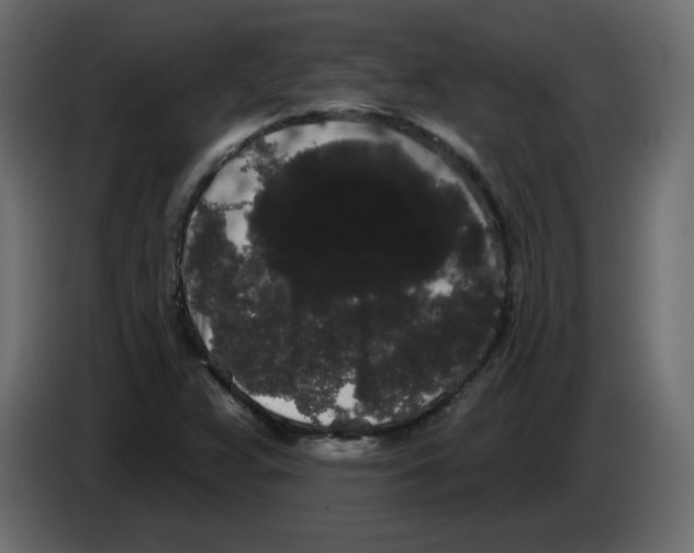 X0000084581359200703231834