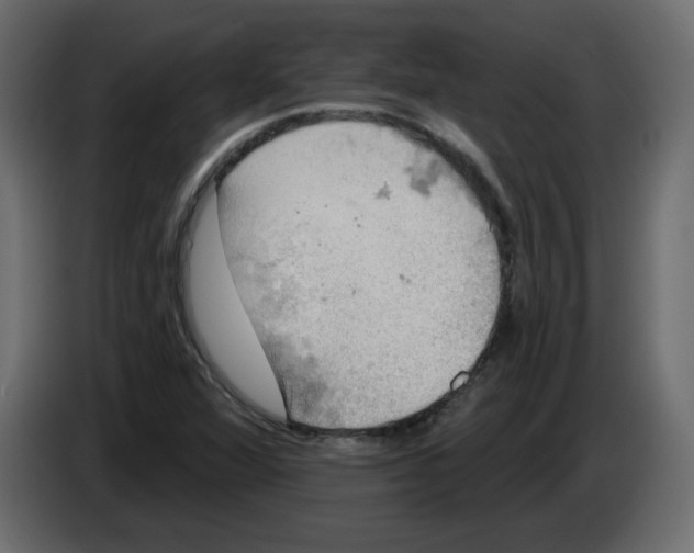 X0000084581360200703231834