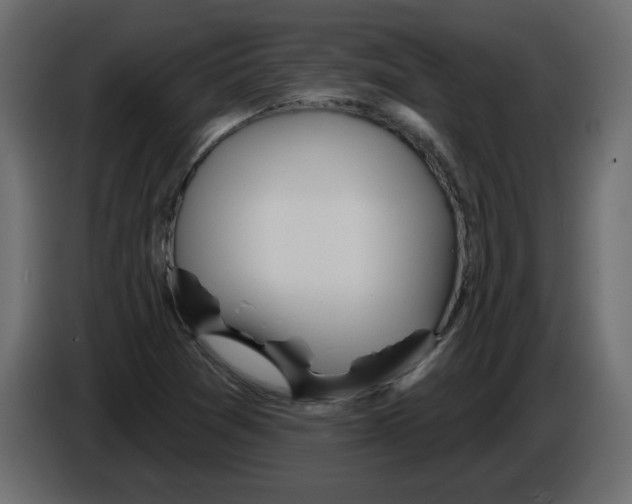 X0000084581361200703231834