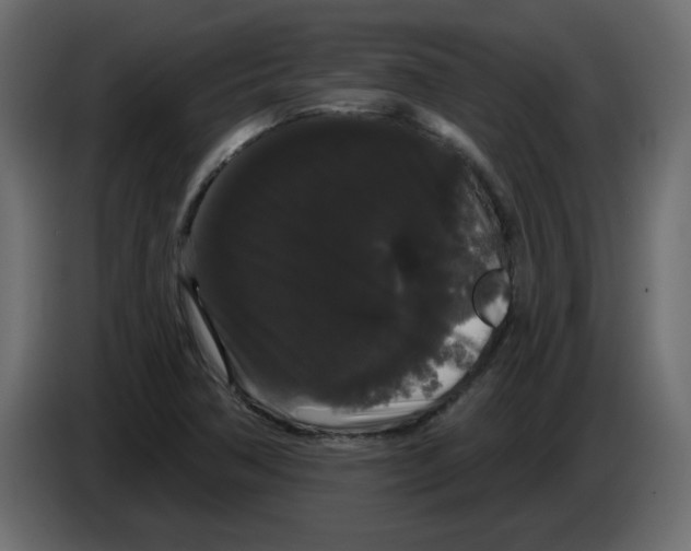 X0000084581362200703231834