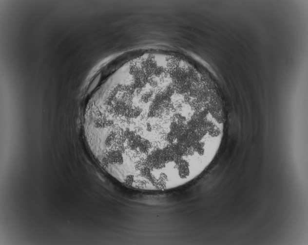 X0000084581363200703231834