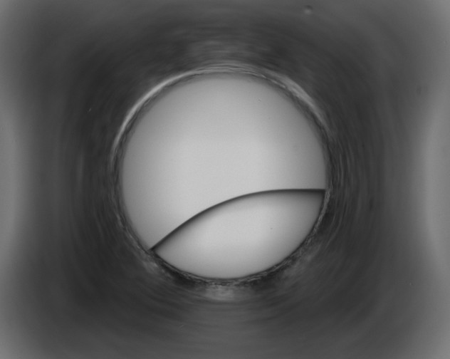 X0000084581364200703231834