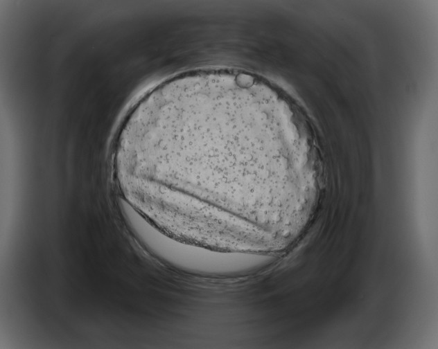X0000084581366200703231834