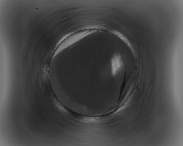 X0000084581369200703231834