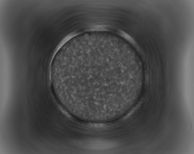 X0000084581370200703231834
