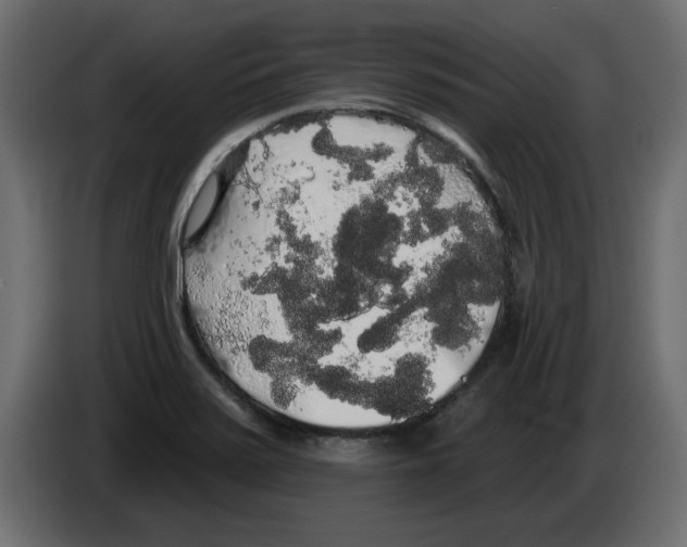 X0000084581371200703231834