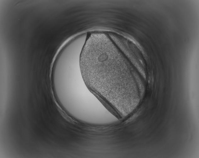 X0000084581372200703231834