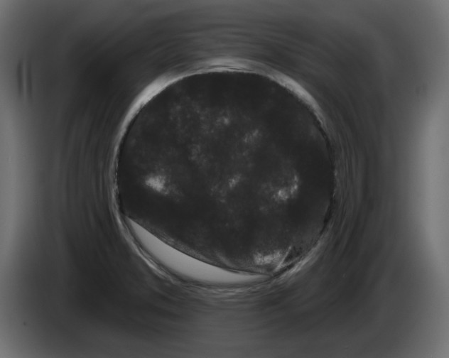 X0000084581373200703231834