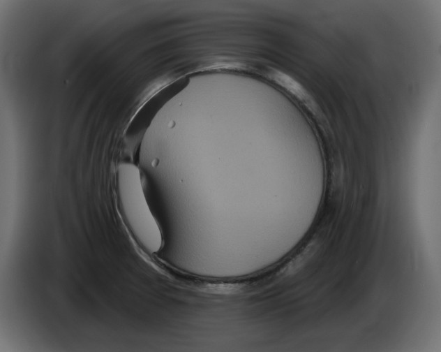 X0000084581377200703231834