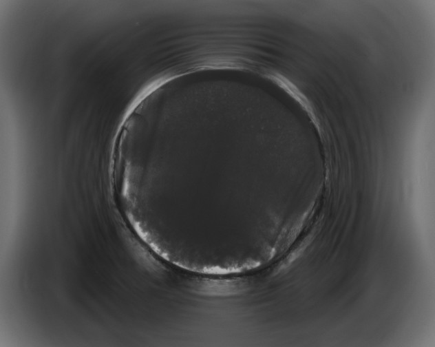 X0000084581378200703231834