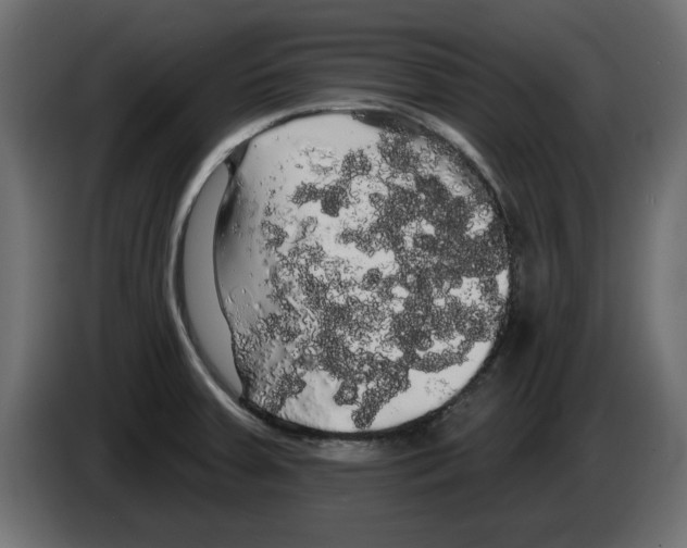 X0000084581379200703231834