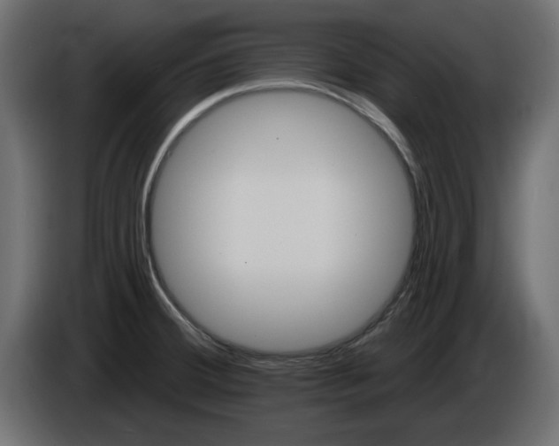 X0000084581380200703231834