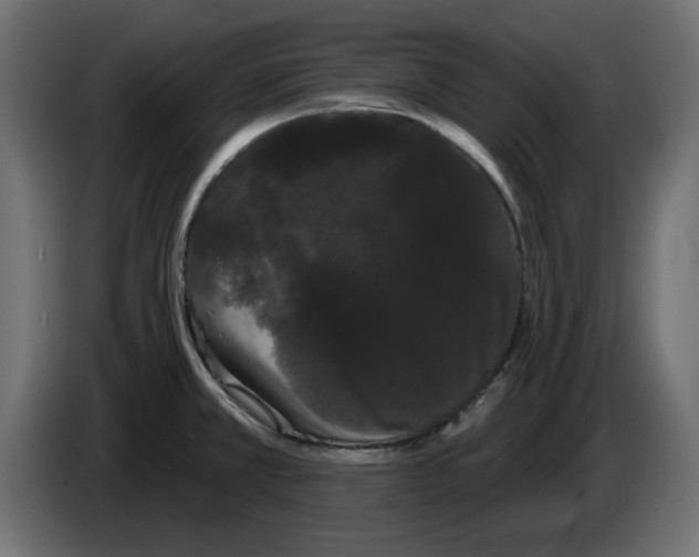 X0000084581381200703231834