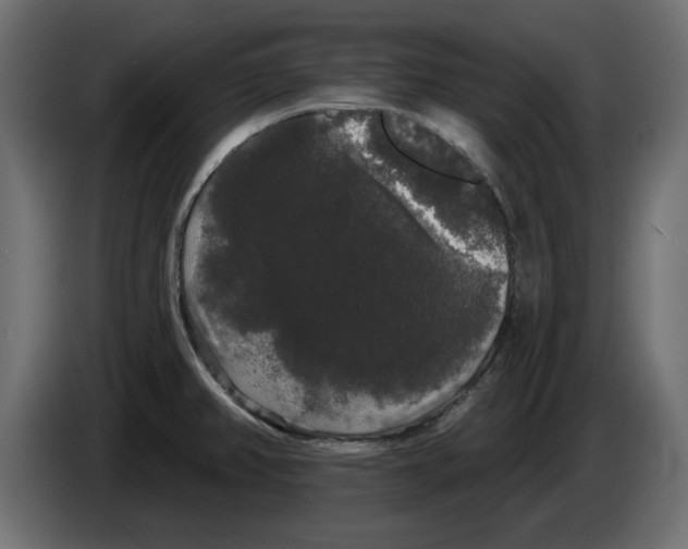 X0000084581382200703231834