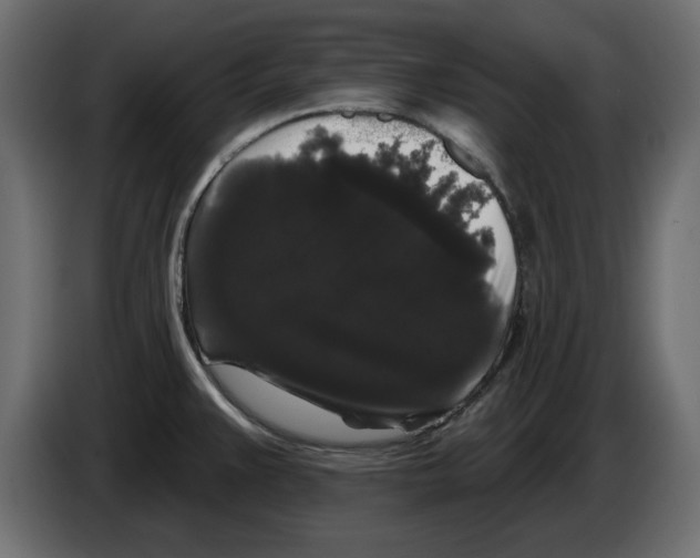 X0000084581383200703231834