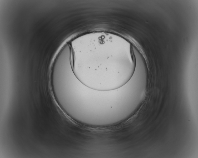 X0000084581384200703231834