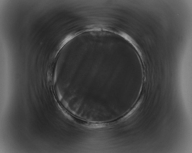 X0000084581385200703231834