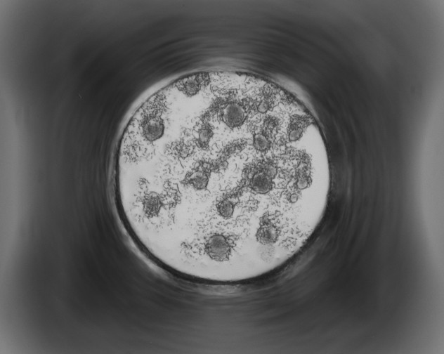 X0000084581387200703231834