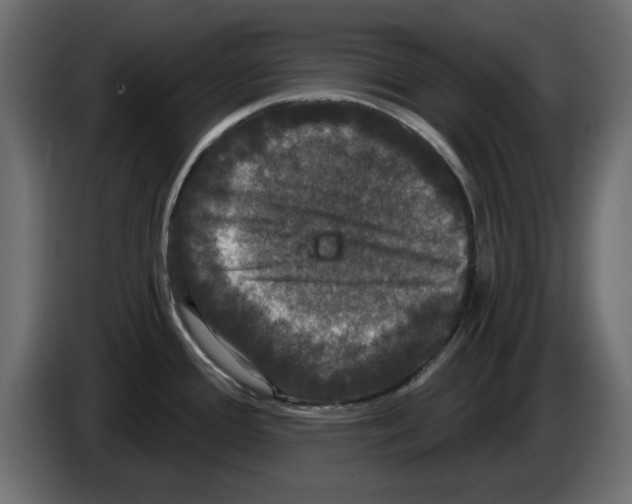 X0000084581388200703231834