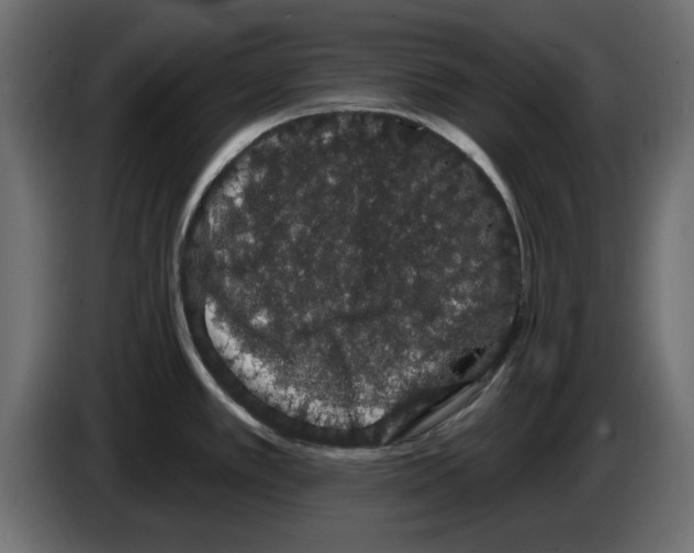 X0000084581389200703231834
