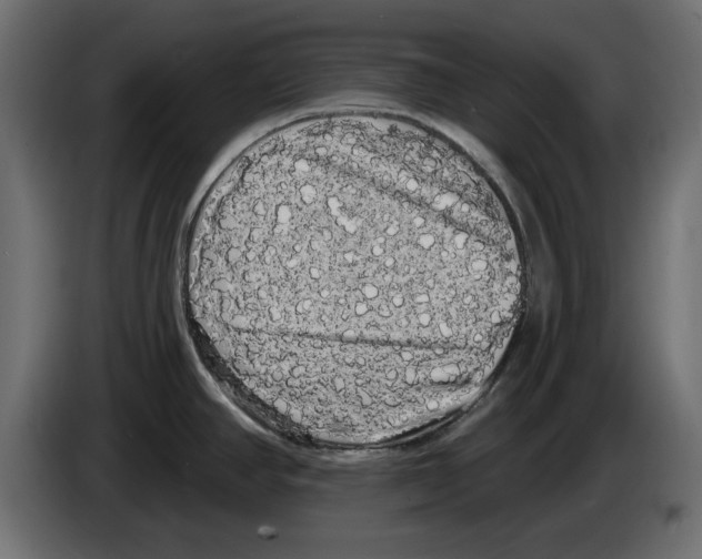 X0000084581390200703231834