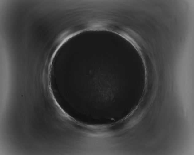 X0000084581392200703231833