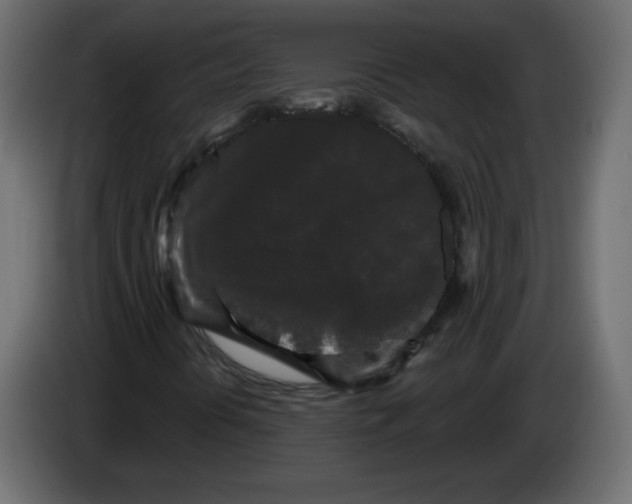 X0000084581394200703231833