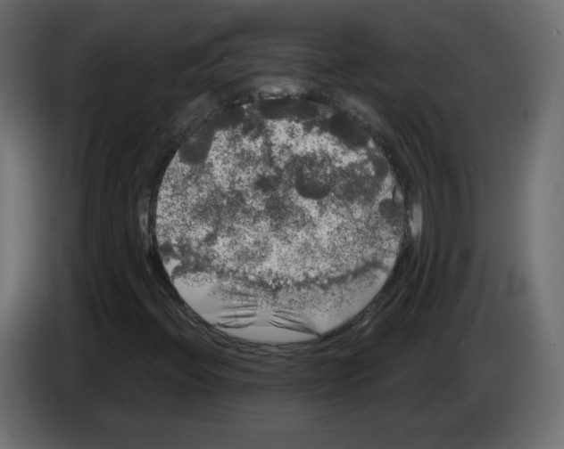 X0000084581396200703231833