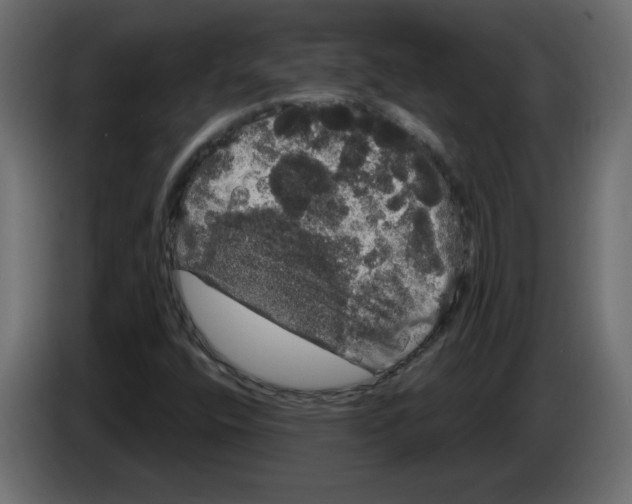 X0000084581400200703231833