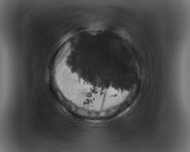 X0000084581401200703231833