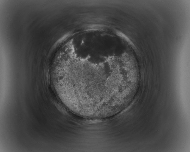 X0000084581403200703231833