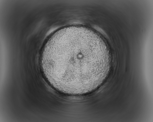 X0000084581404200703231833