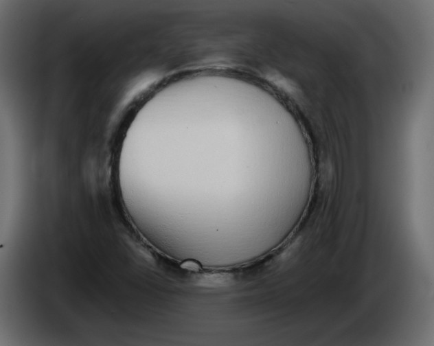 X0000084581406200703231833