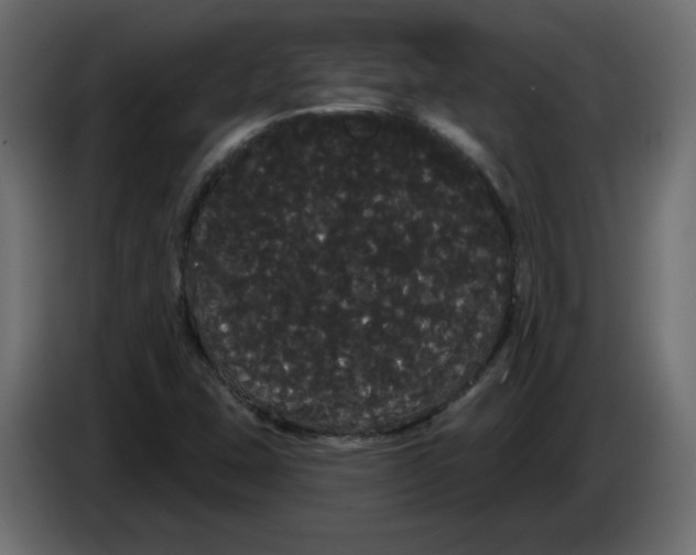 X0000084581407200703231833