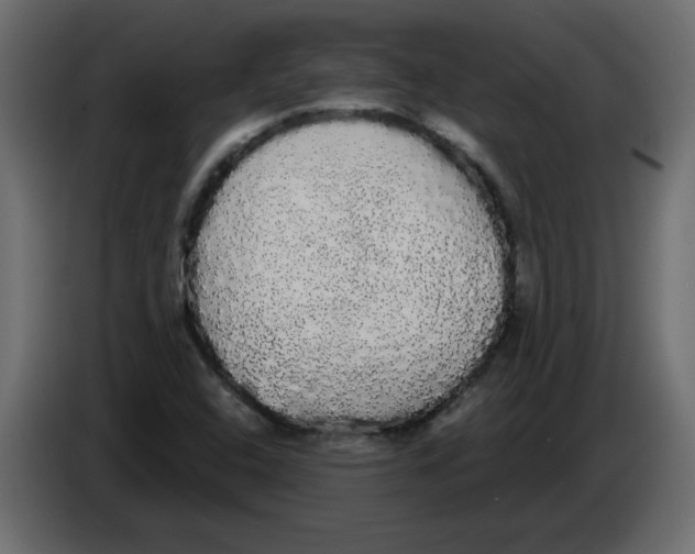 X0000084581408200703231833