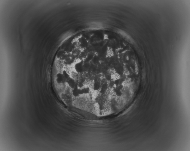 X0000084581409200703231833