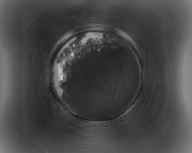 X0000084581411200703231833