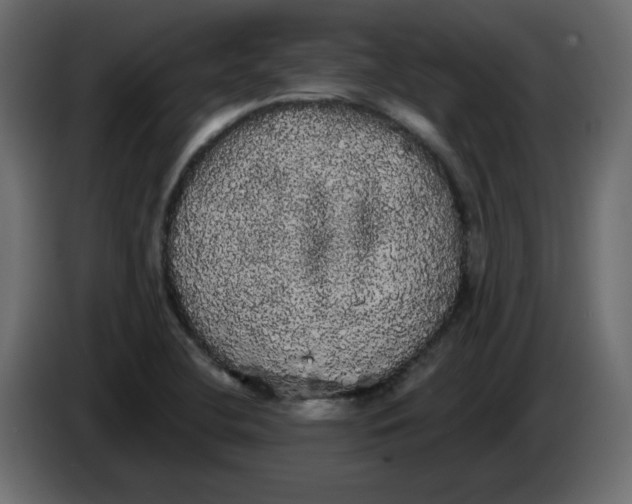 X0000084581412200703231833