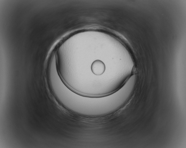 X0000084581414200703231833