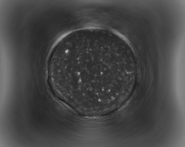 X0000084581415200703231833