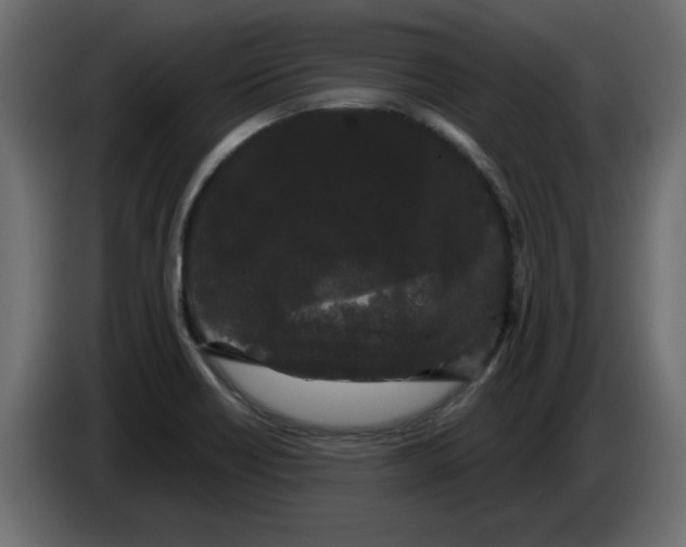 X0000084581418200703231833